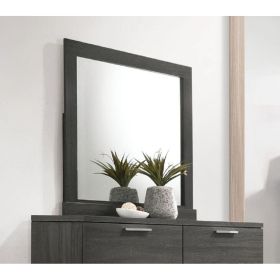 Lantha Mirror in Gray Oak YJ - 22034